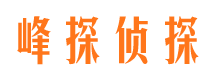 渠县市调查公司